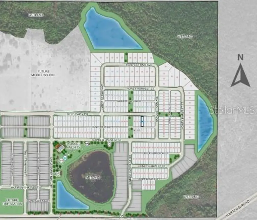 14744 Field Daisy Drive Winter Garden FL 34787