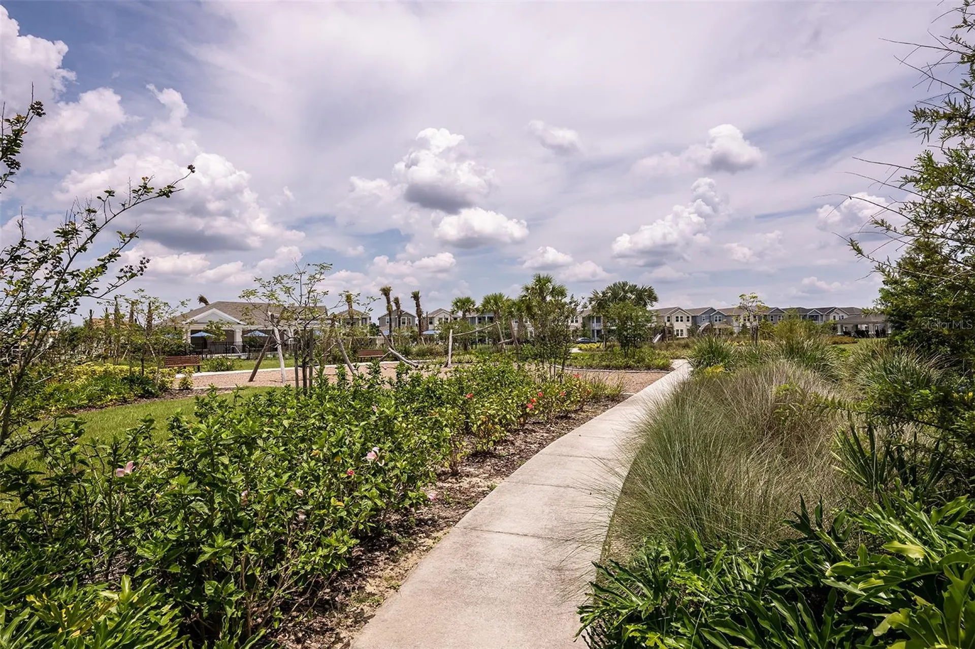 14744 Field Daisy Drive Winter Garden FL 34787