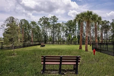 14744 Field Daisy Drive Winter Garden FL 34787