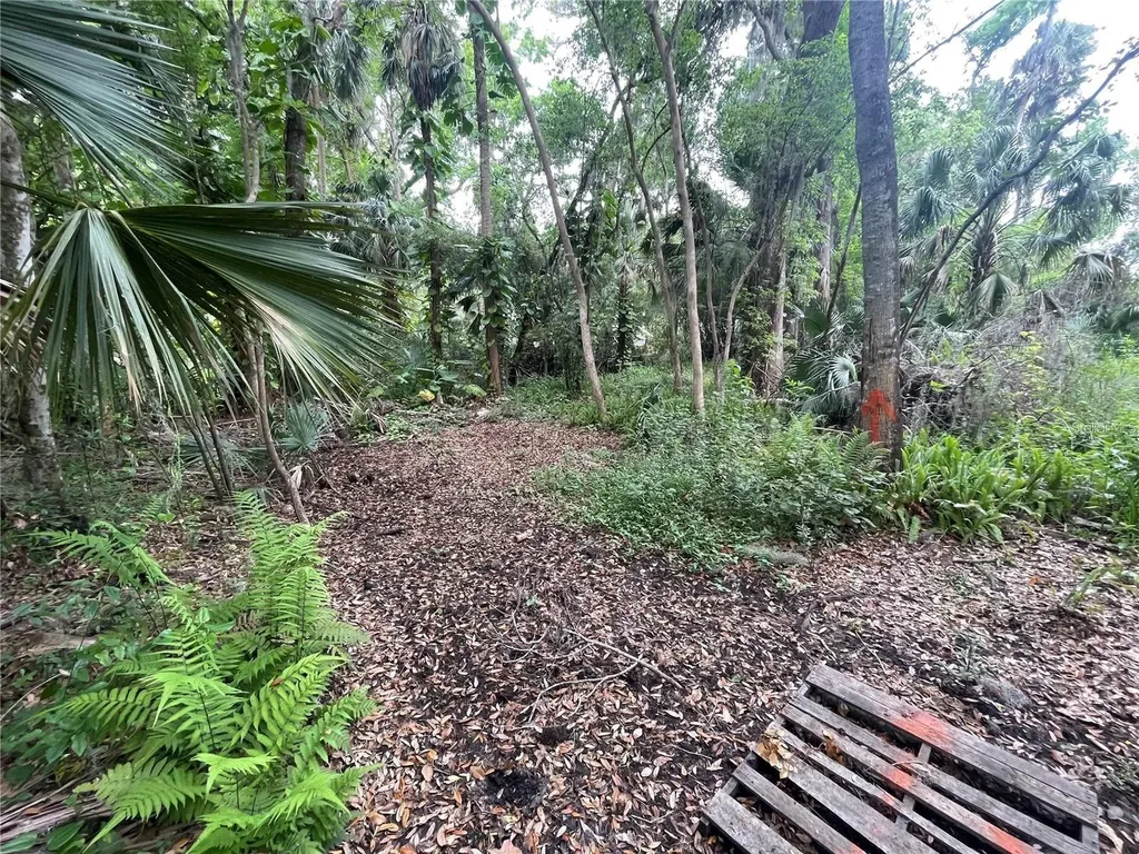 242 Fraser Road Debary FL 32713