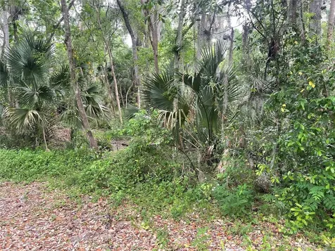 242 Fraser Road Debary FL 32713
