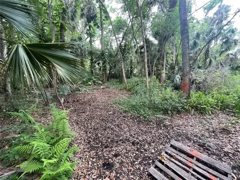 242 Fraser Road Debary FL 32713