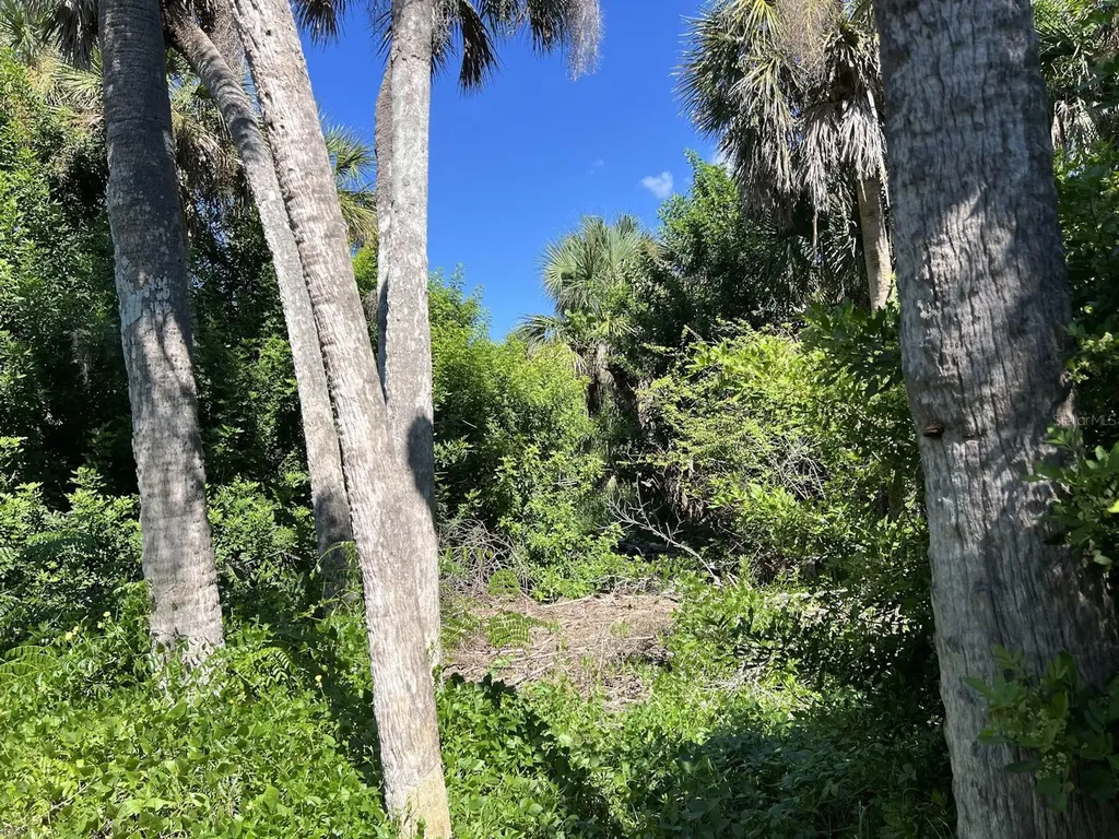 10049 Hel-lew Court Placida FL 33946