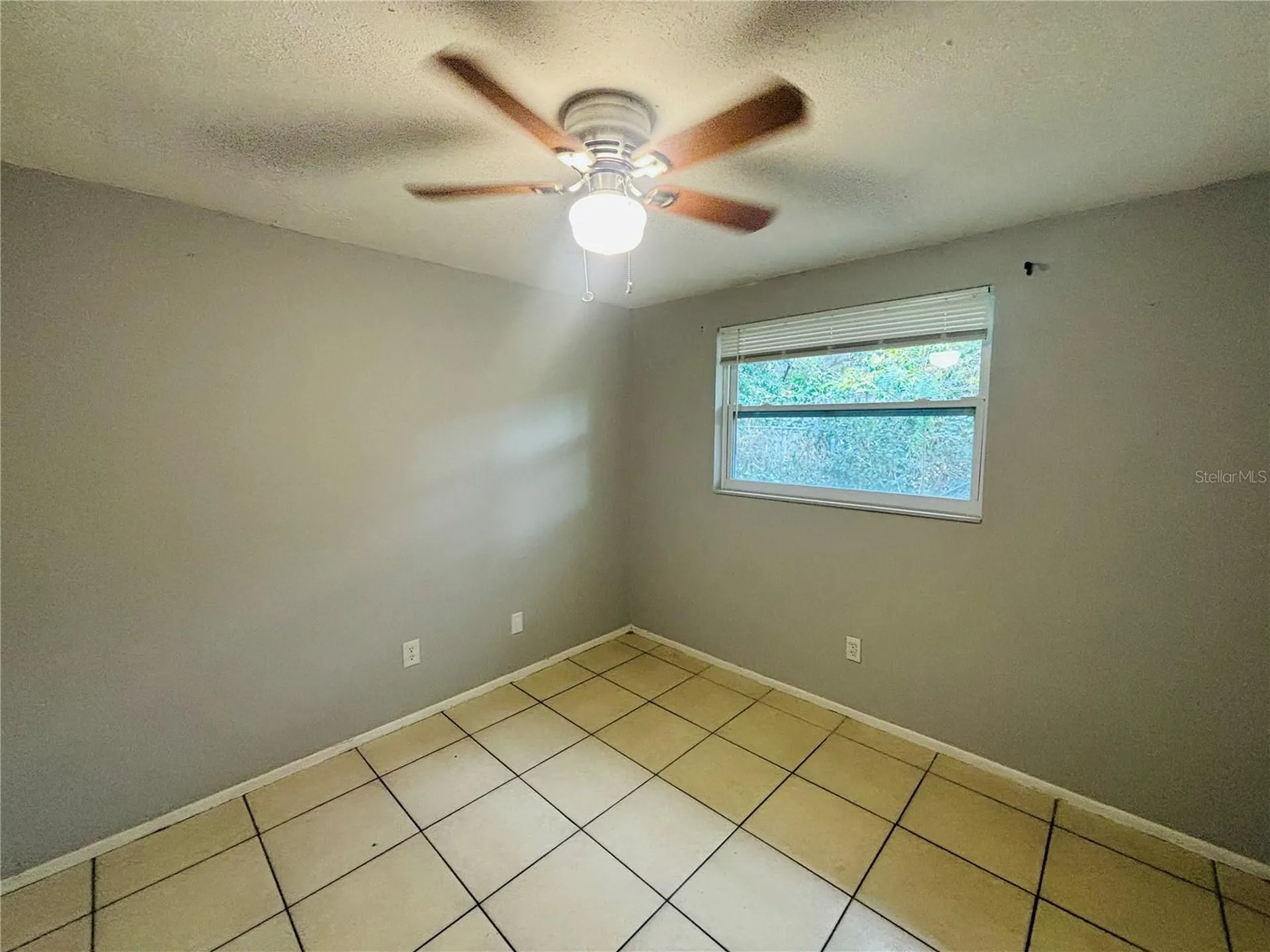 11733 N 12th Street Tampa FL 33612