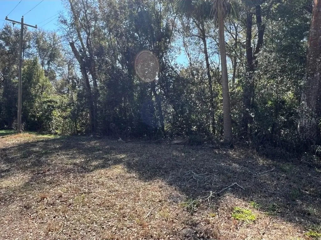 Palacky Street Brooksville FL 34604