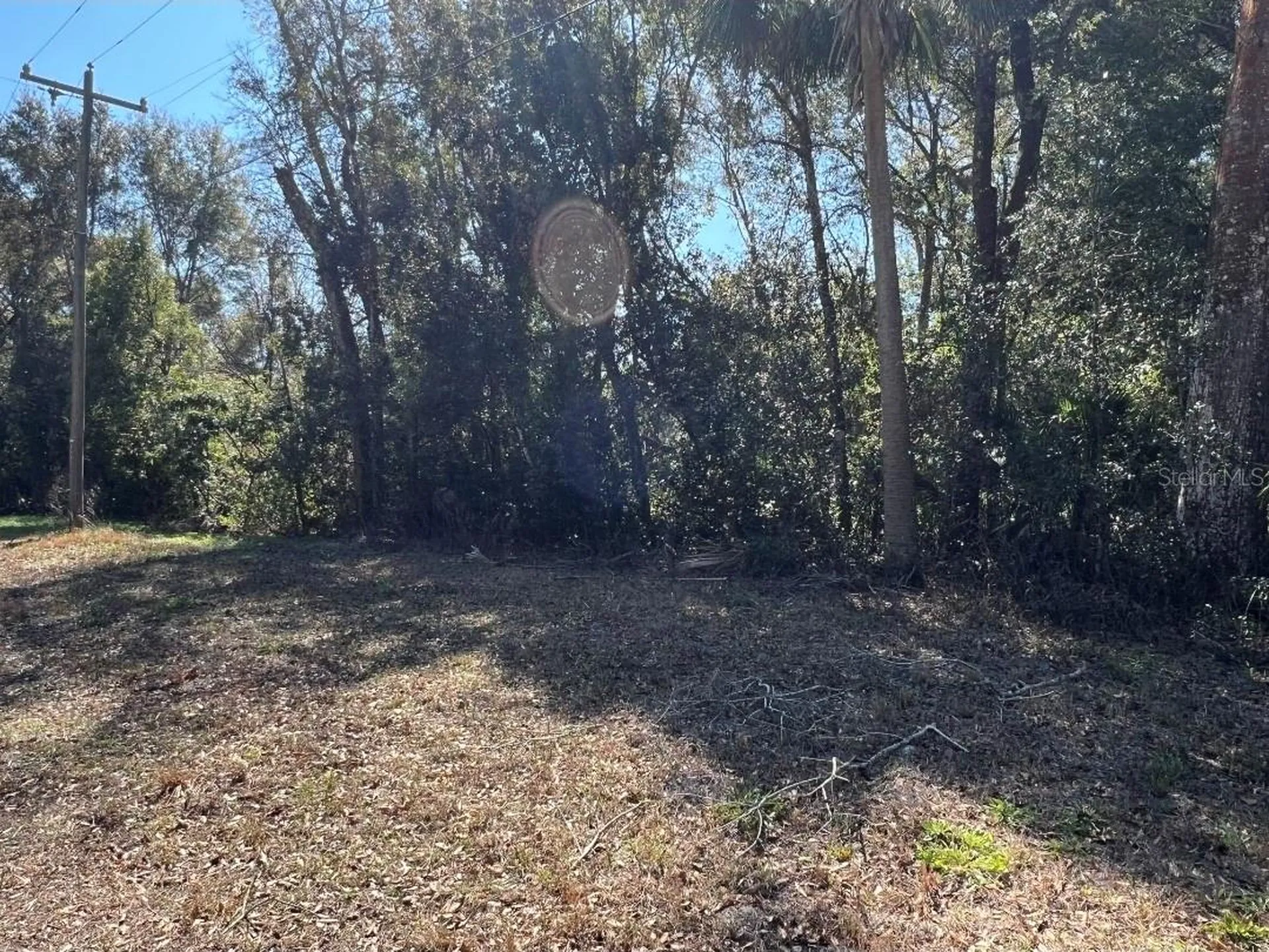Palacky Street Brooksville FL 34604