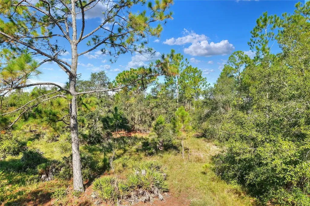 730 Mcclellan Road Frostproof FL 33843
