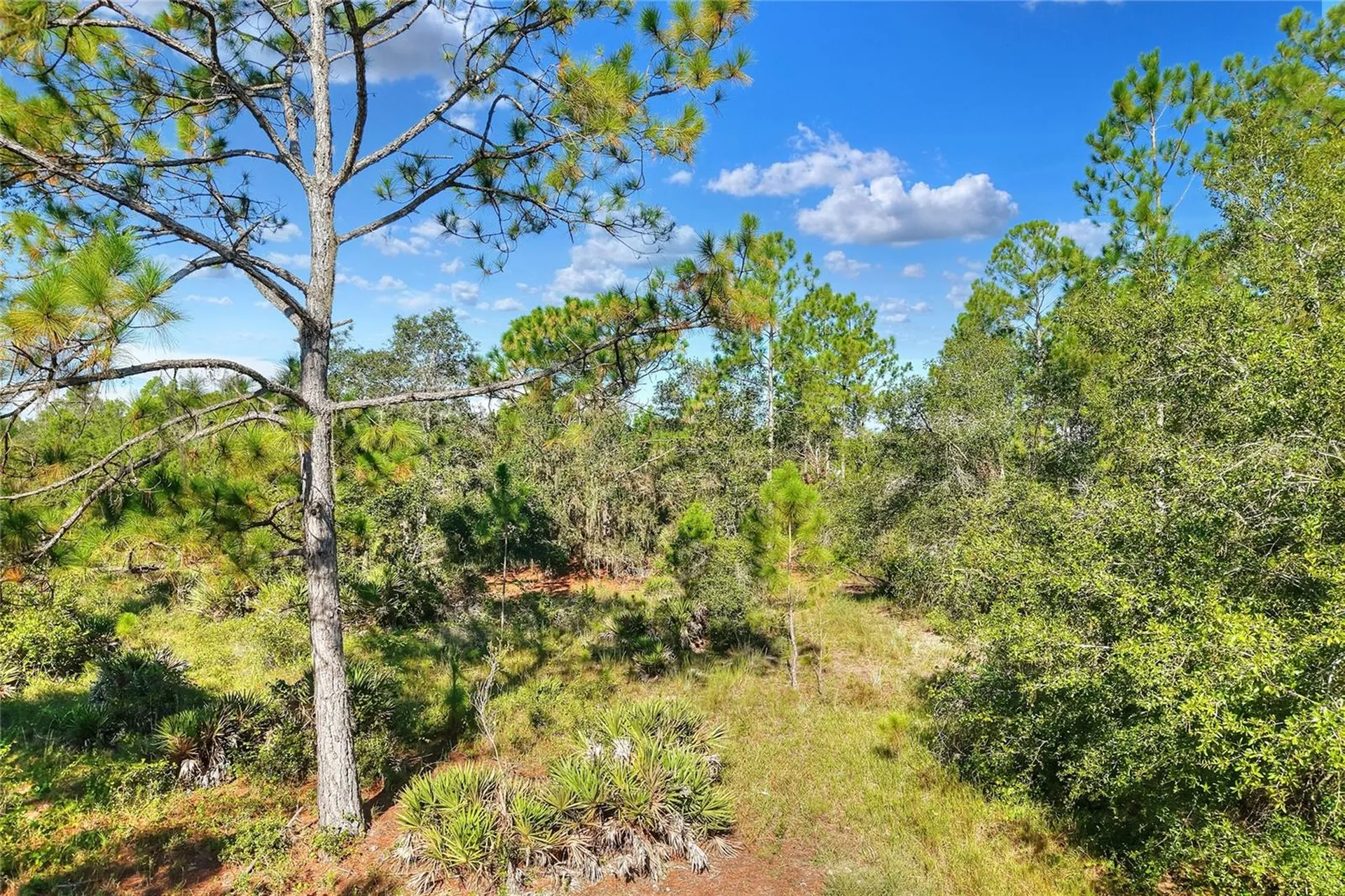 730 Mcclellan Road Frostproof FL 33843
