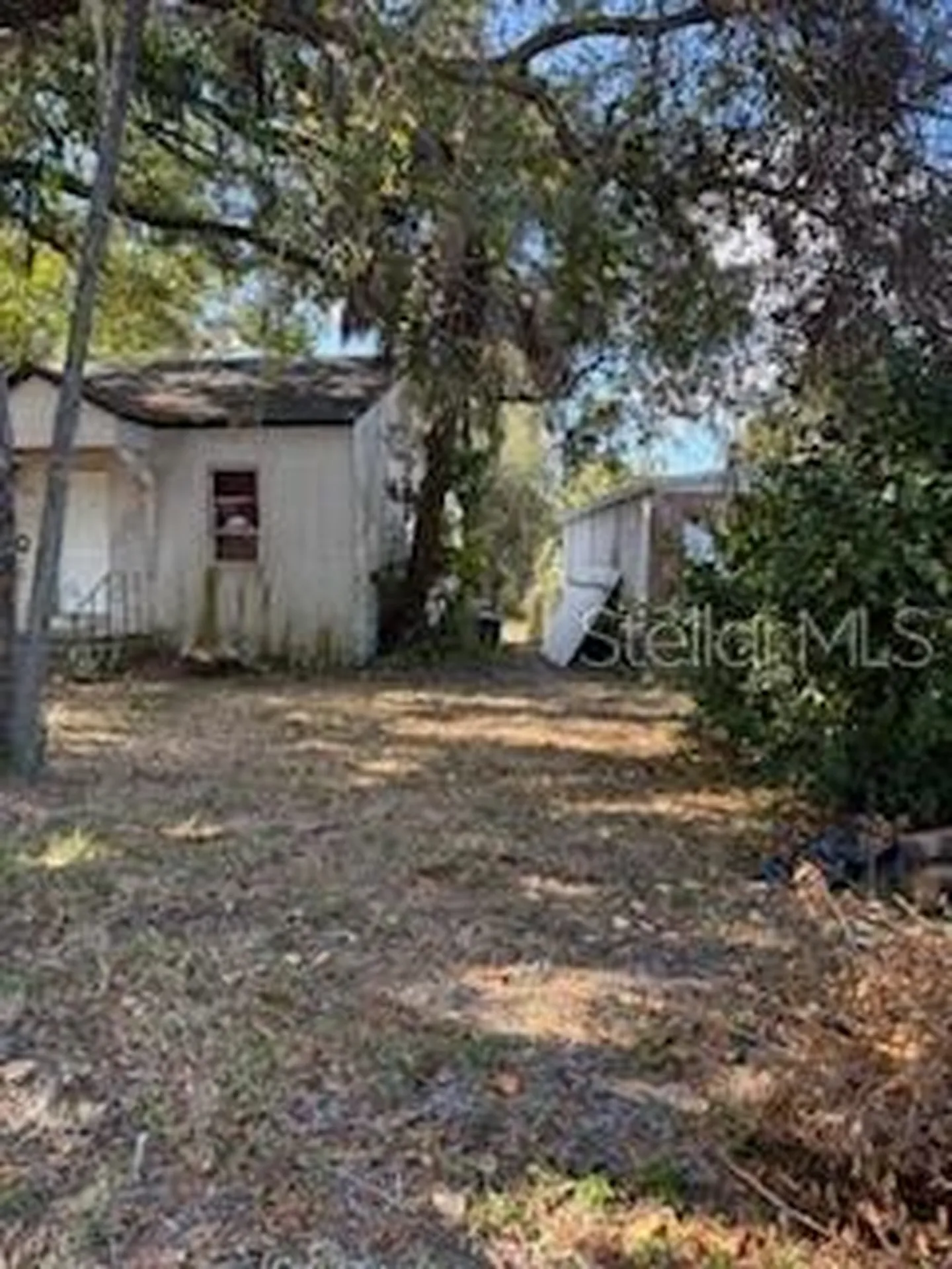 310 N Sterling Avenue Tampa FL 33609