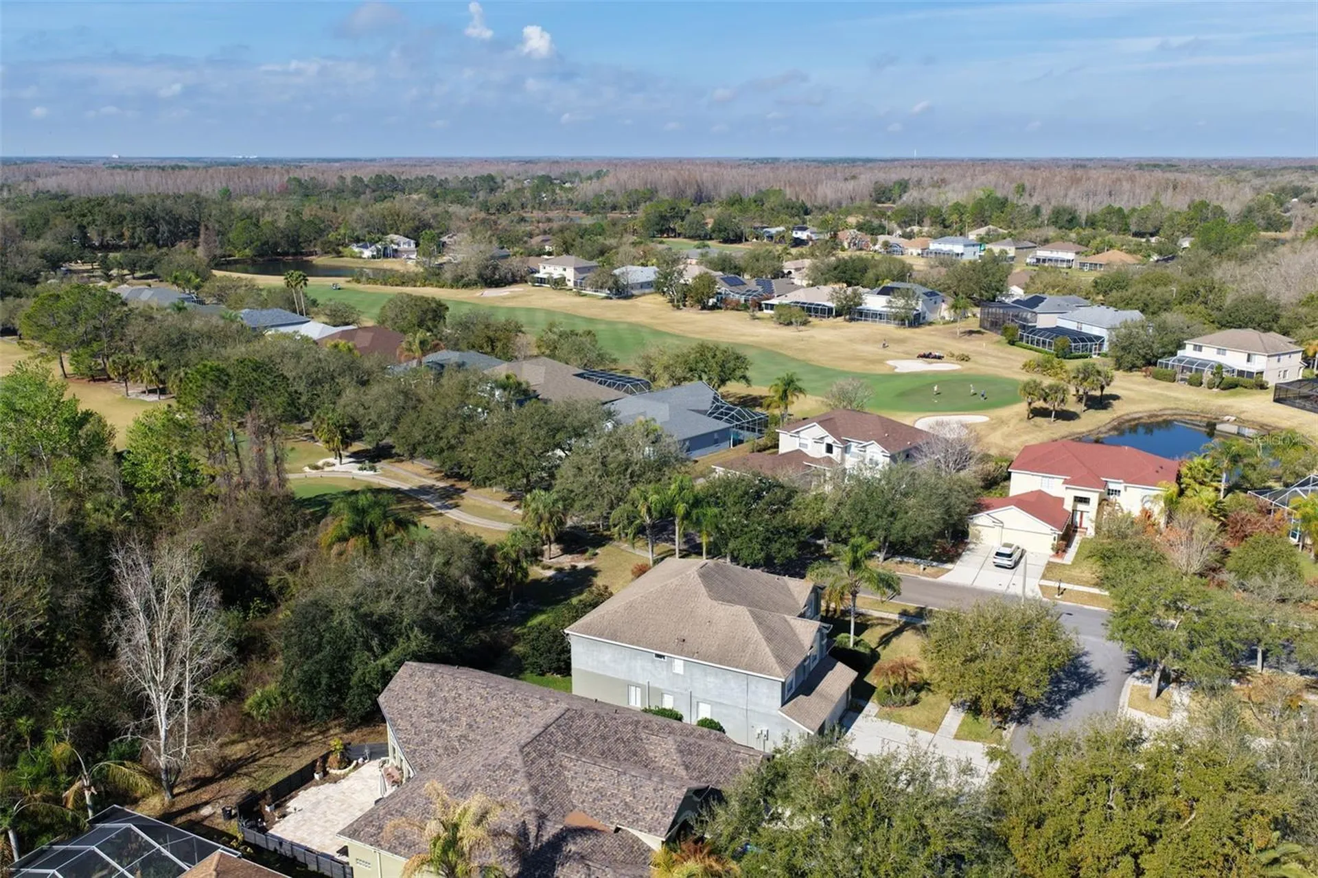 18110 Turtle Beach Way Tampa FL 33647