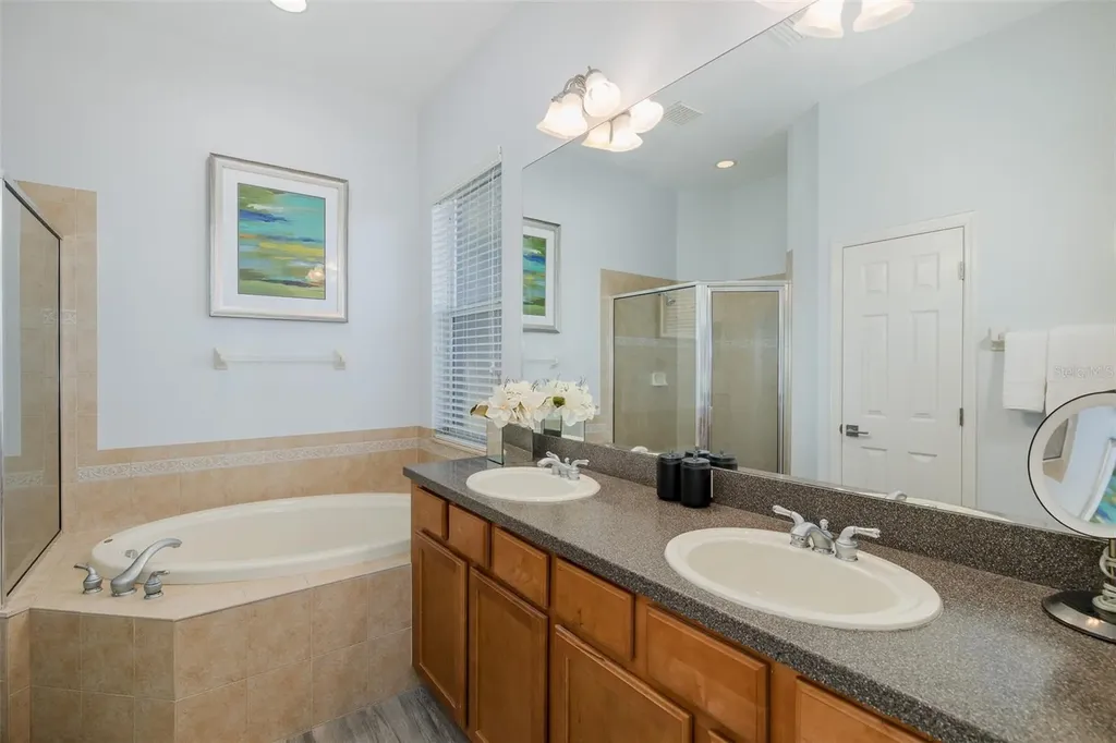 20301 Falling Rock Drive Land O Lakes FL 34638