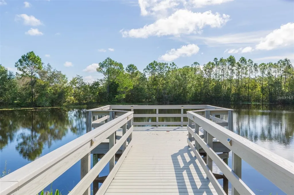 20301 Falling Rock Drive Land O Lakes FL 34638