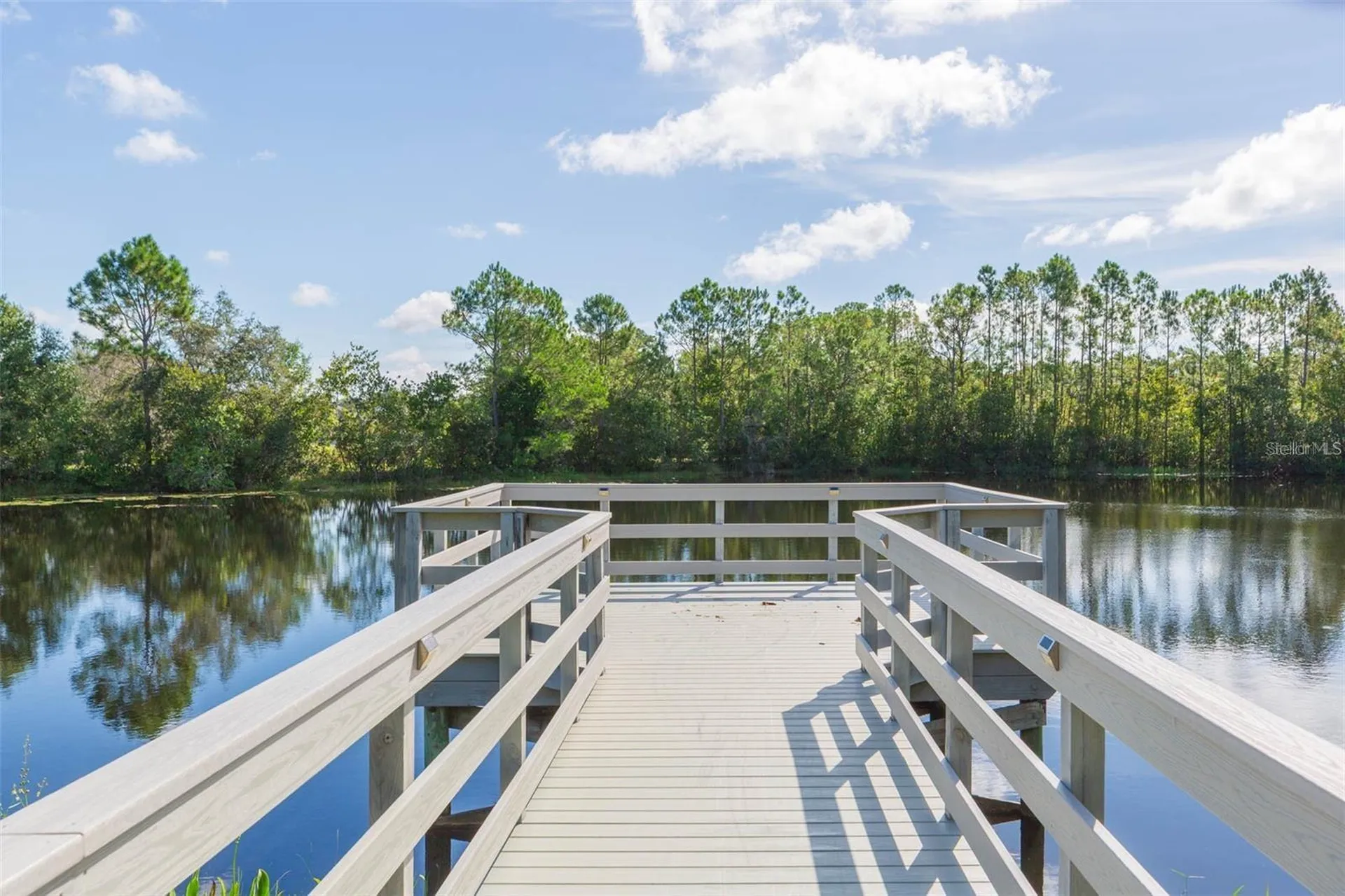 20301 Falling Rock Drive Land O Lakes FL 34638