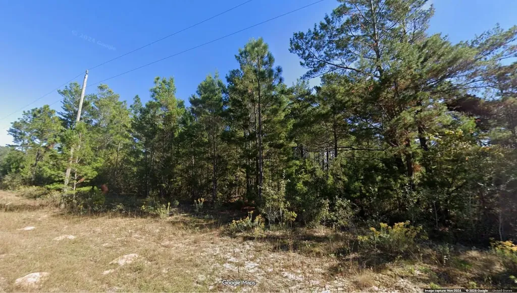 Lot 5 Unit 1 Blk 94 Pinehurst Avenue Chipley FL 32428