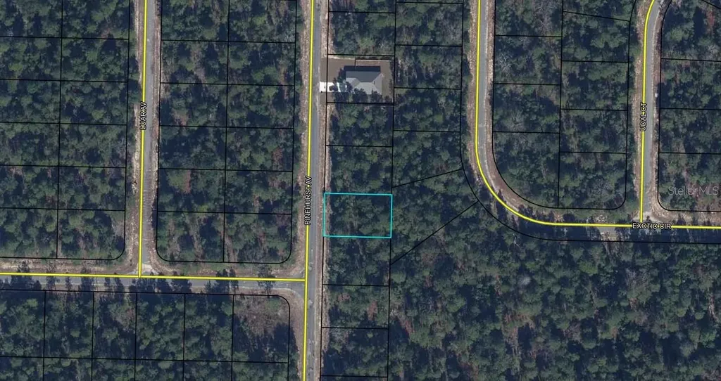 Lot 5 Unit 1 Blk 94 Pinehurst Avenue Chipley FL 32428