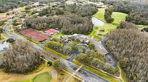 3196 Crescent Oaks Boulevard Tarpon Springs FL 34688