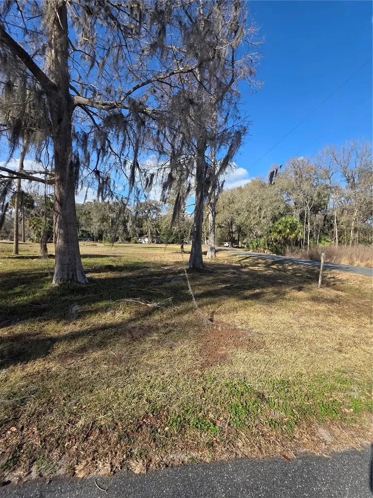 Tbd Cr 426 Lake Panasoffkee FL 33538