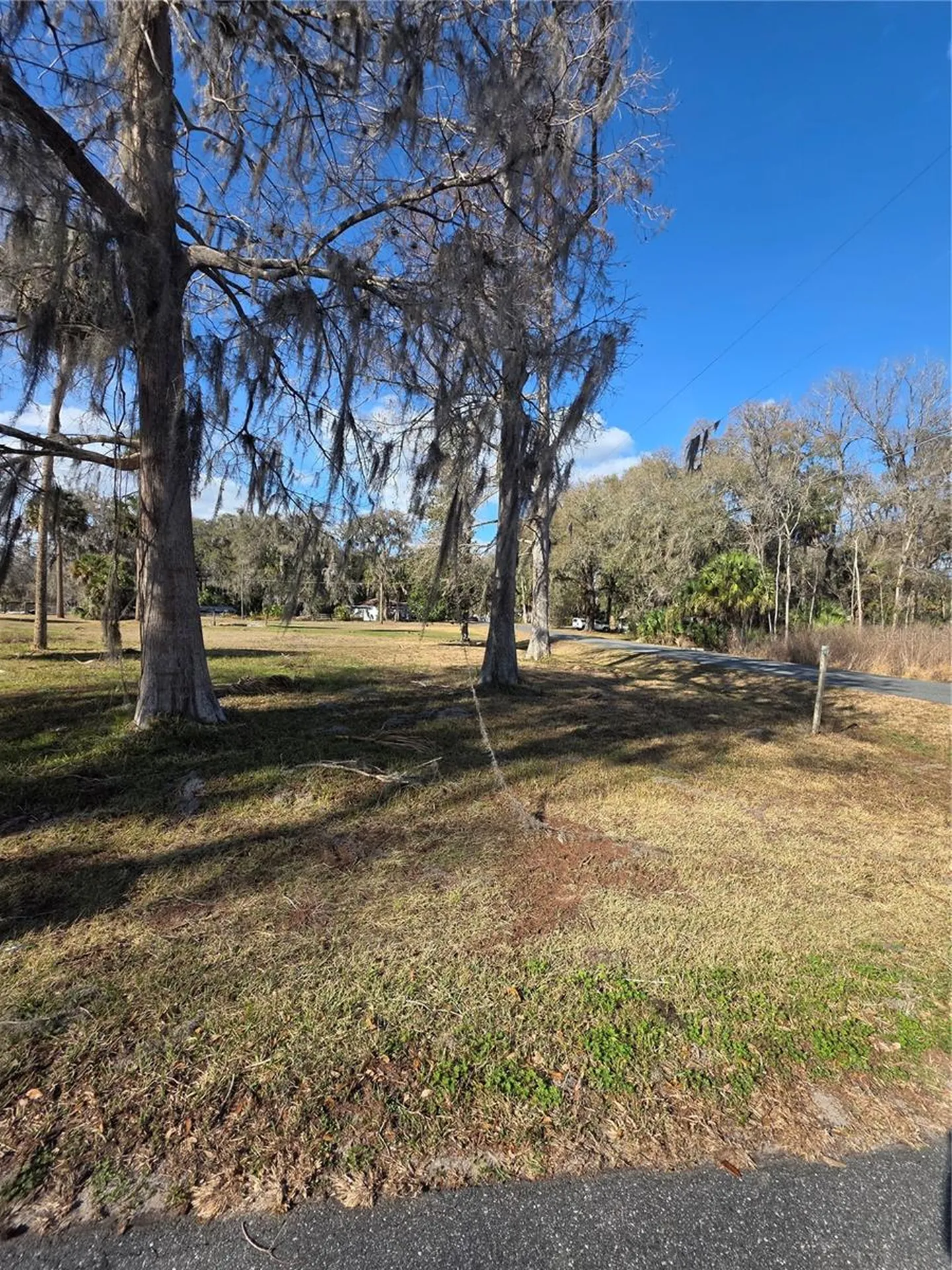 Tbd Cr 426 Lake Panasoffkee FL 33538