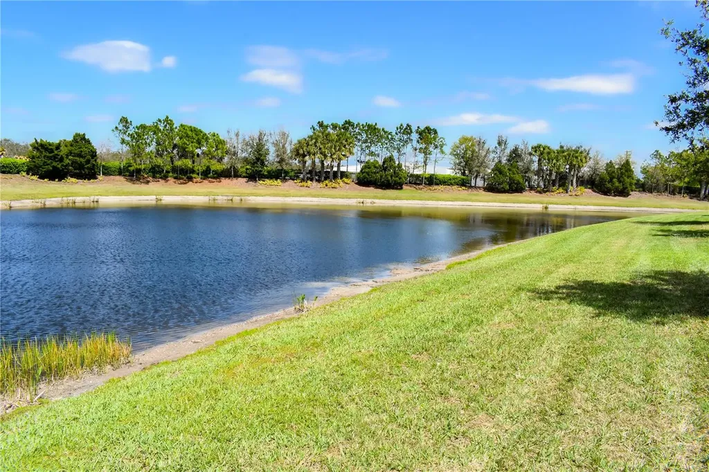 15640 Aurora Lake Circle Wimauma FL 33598