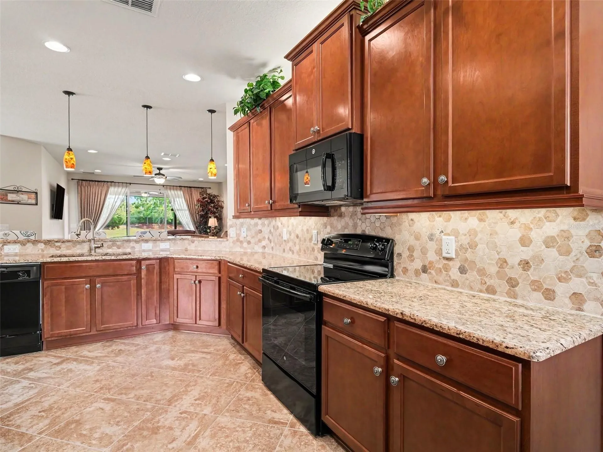 15640 Aurora Lake Circle Wimauma FL 33598