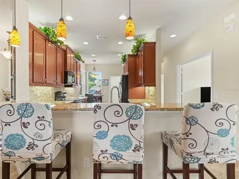 15640 Aurora Lake Circle Wimauma FL 33598