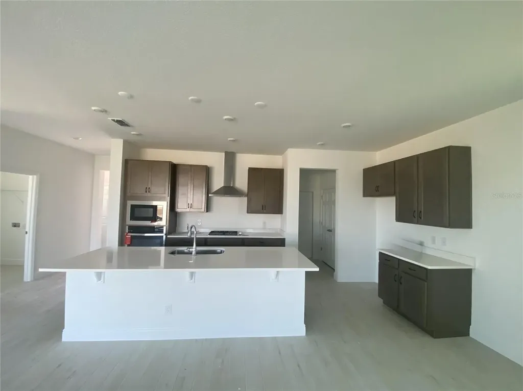 379 Lemongrass Road Minneola FL 34715
