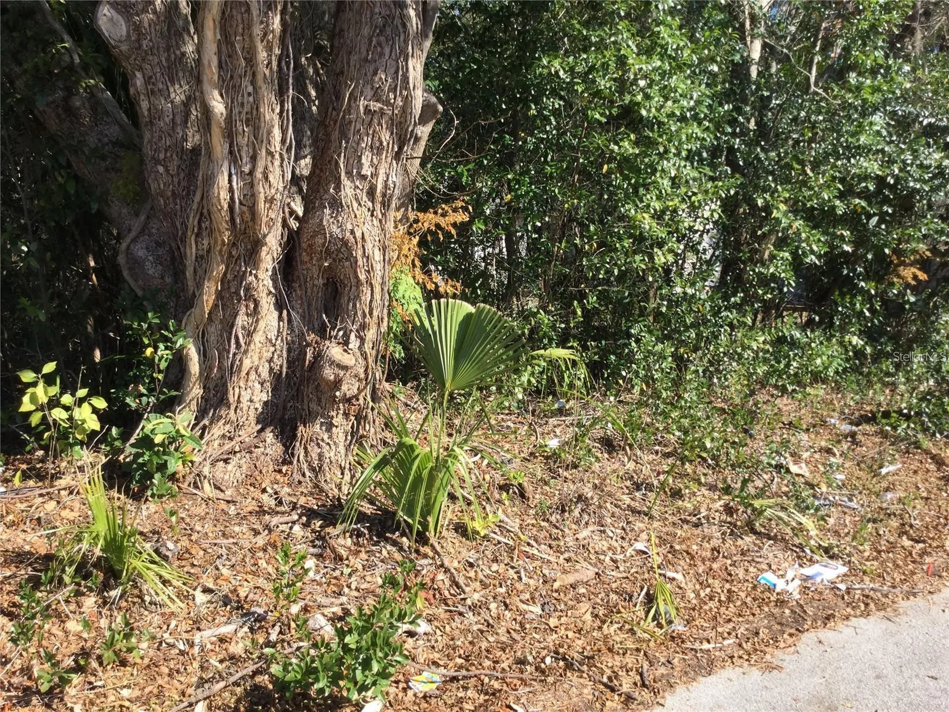 537 W Division Street Deland FL 32720