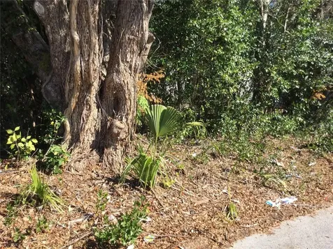 537 W Division Street Deland FL 32720