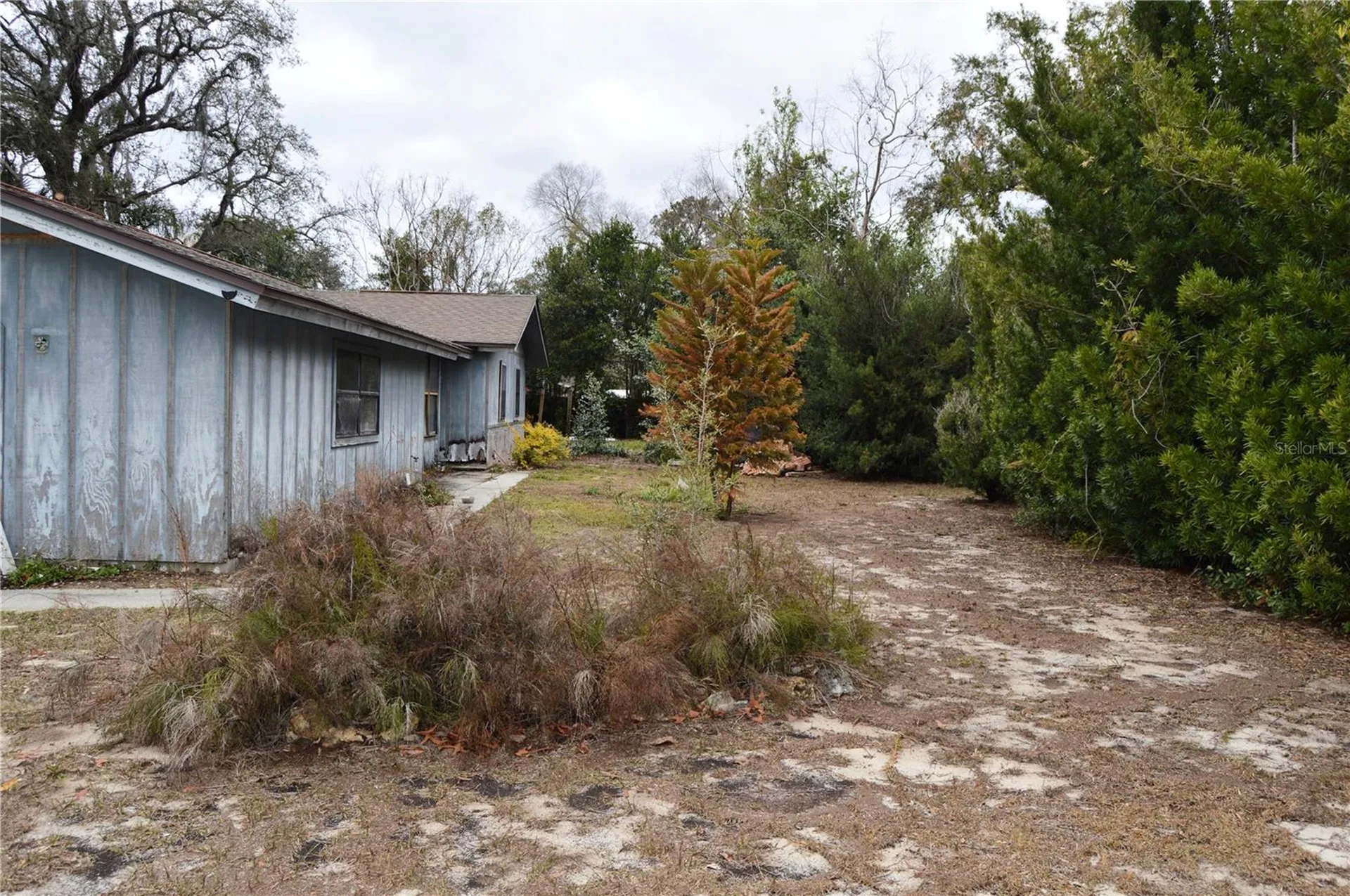 702 James Avenue Fruitland Park FL 34731