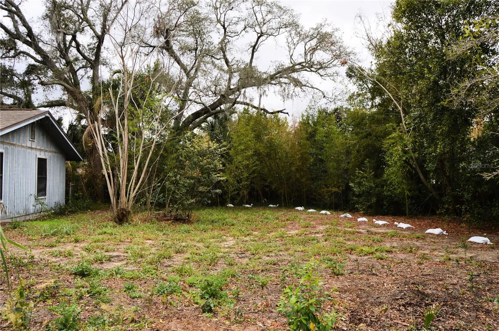 702 James Avenue Fruitland Park FL 34731