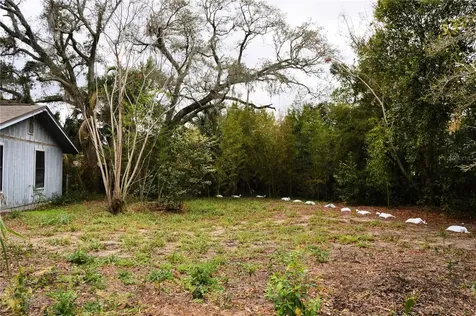 702 James Avenue Fruitland Park FL 34731