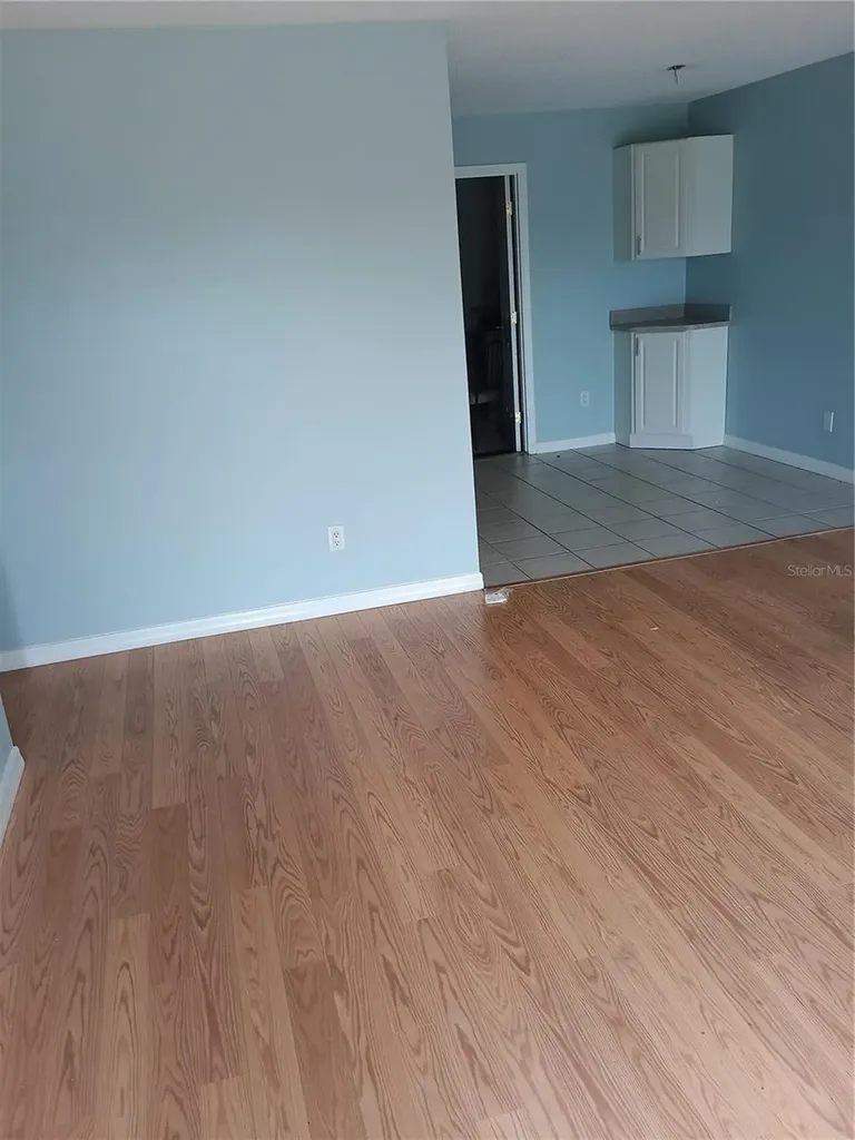 1339 Queen Anne Drive Palm Harbor FL 34684