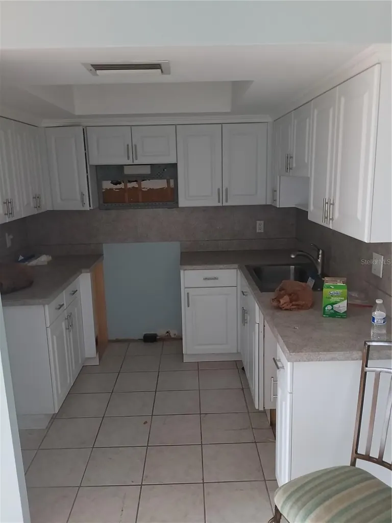 1339 Queen Anne Drive Palm Harbor FL 34684