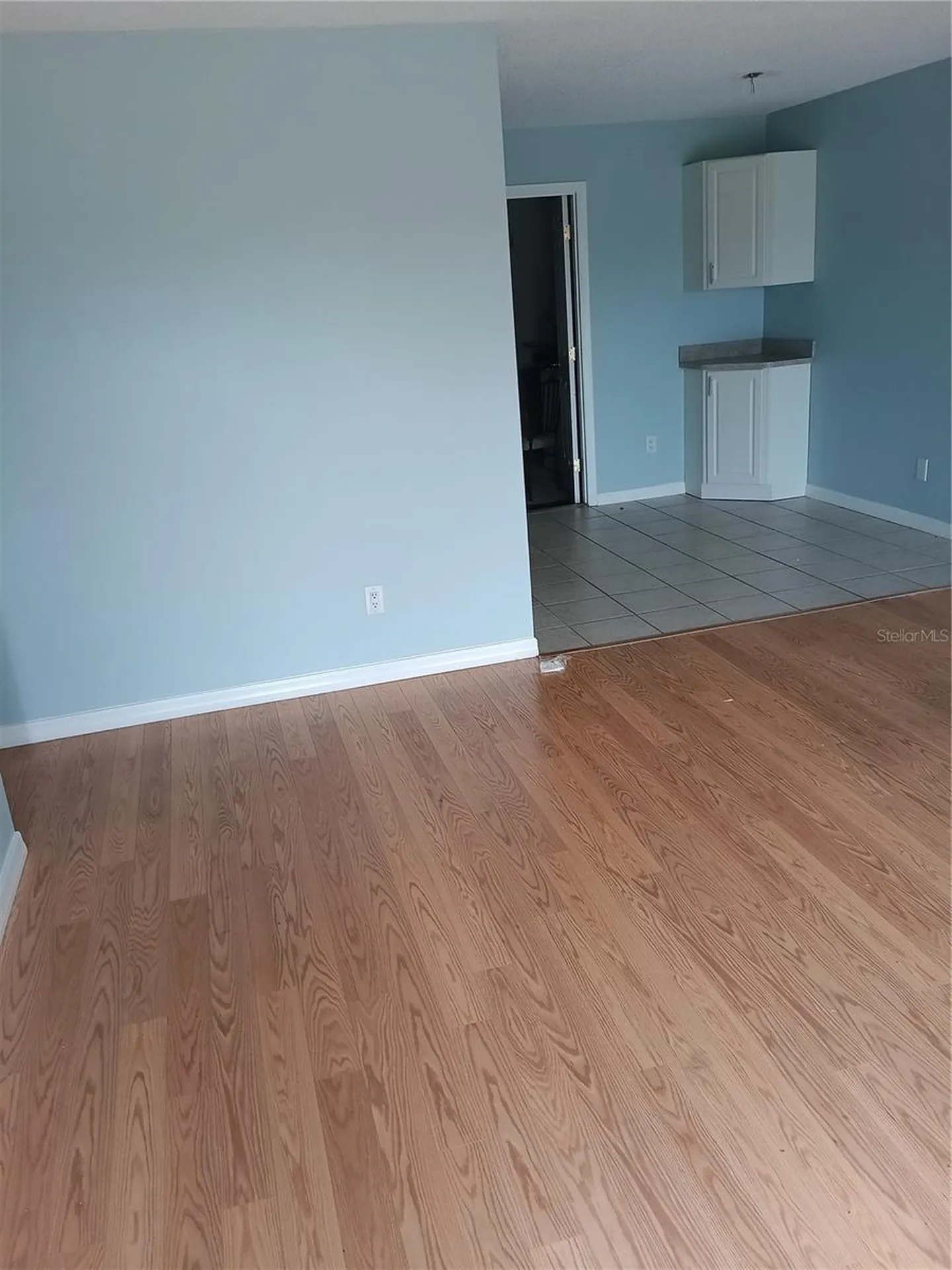 1339 Queen Anne Drive Palm Harbor FL 34684
