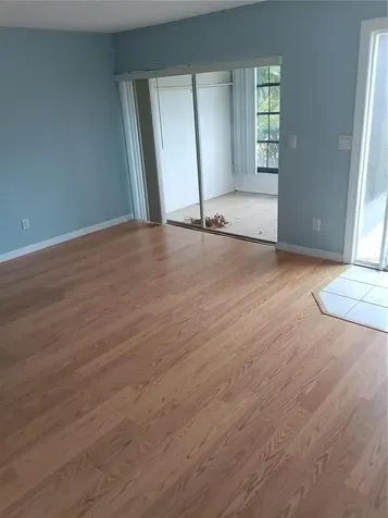 1339 Queen Anne Drive Palm Harbor FL 34684
