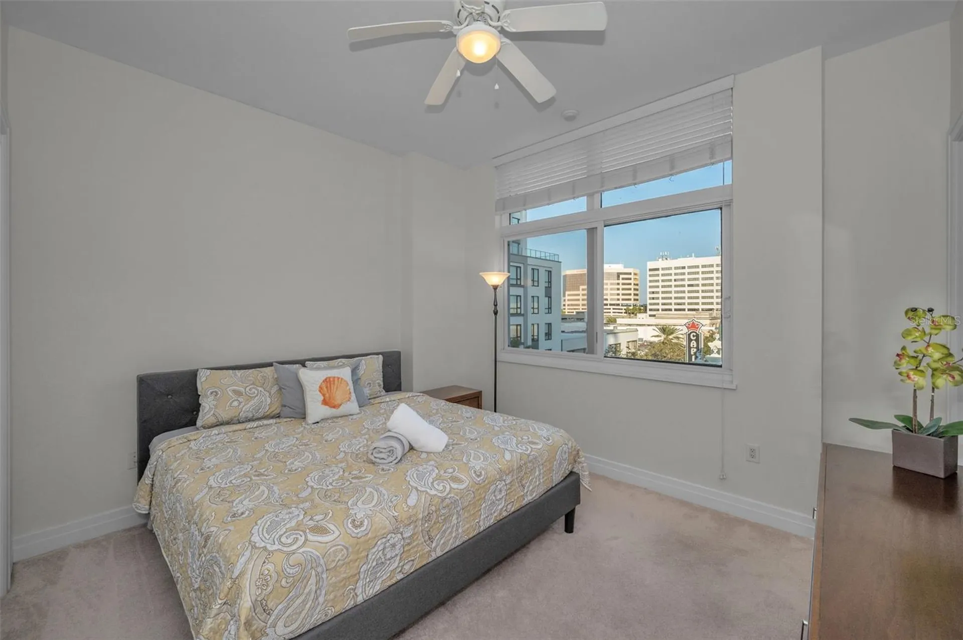 331 Cleveland Street Clearwater FL 33755