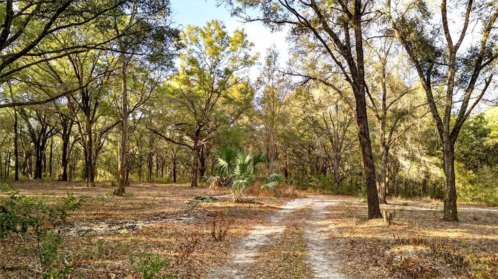 SE 180th Street Weirsdale FL 32195