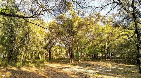 SE 180th Street Weirsdale FL 32195