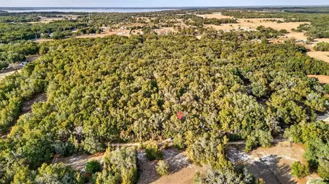 SE 180th Street Weirsdale FL 32195