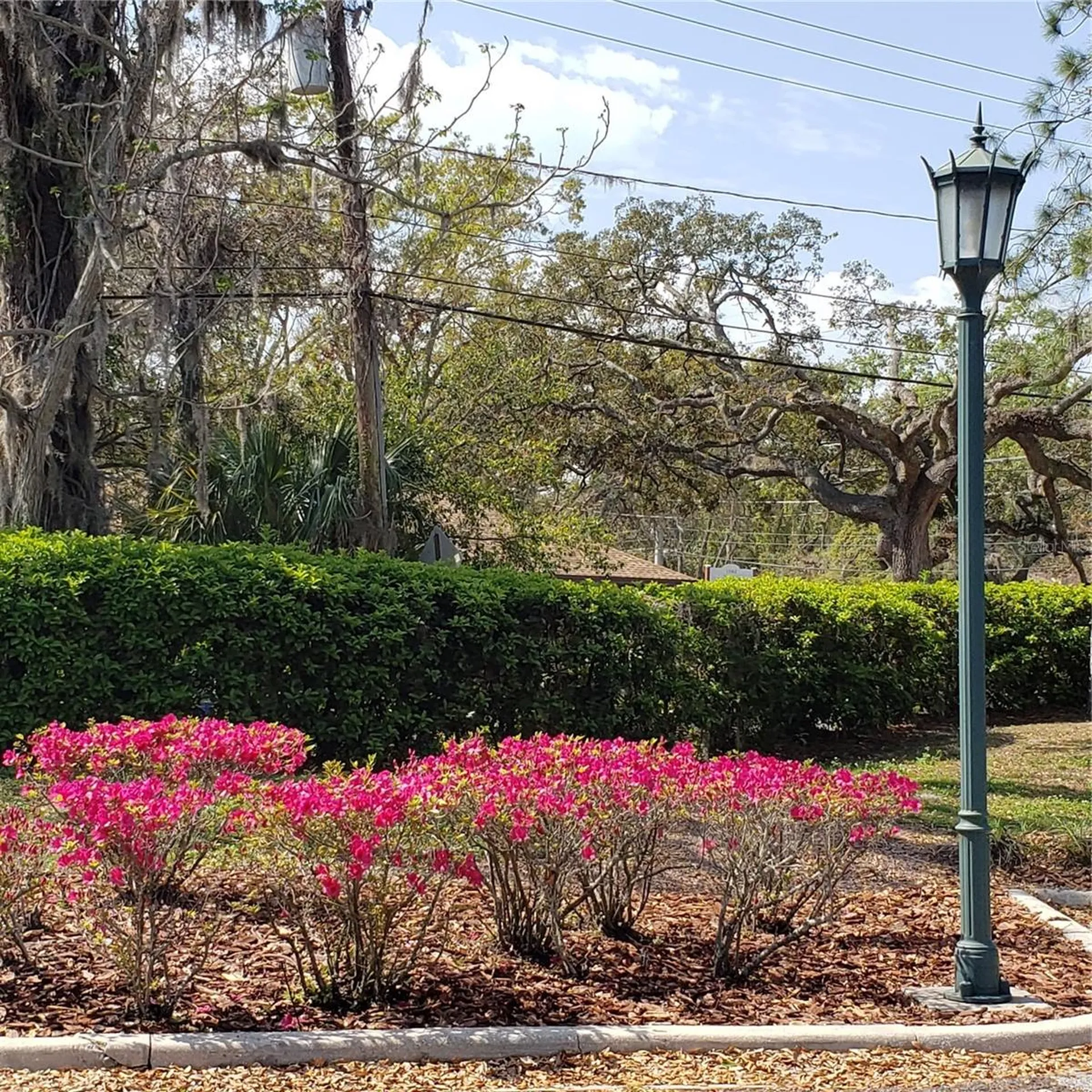 16013 N Florida Avenue Lutz FL 33549