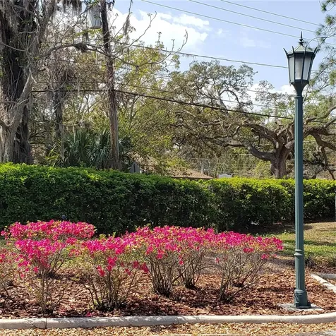 16013 N Florida Avenue Lutz FL 33549