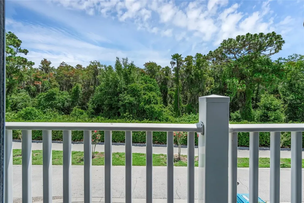 10802 Eclipse Lily Way Orlando FL 32832