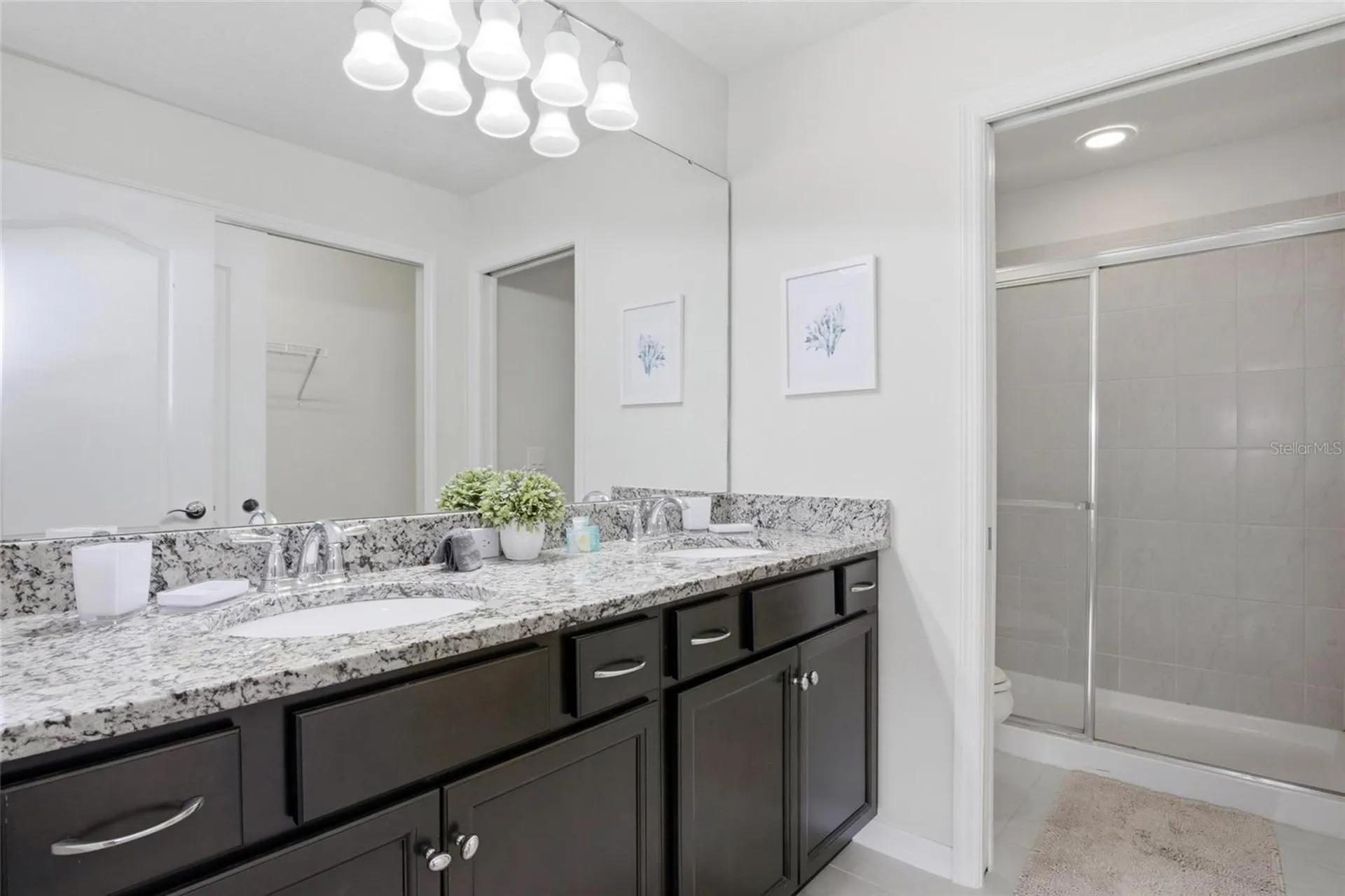 2412 Tanger Drive Kissimmee FL 34747