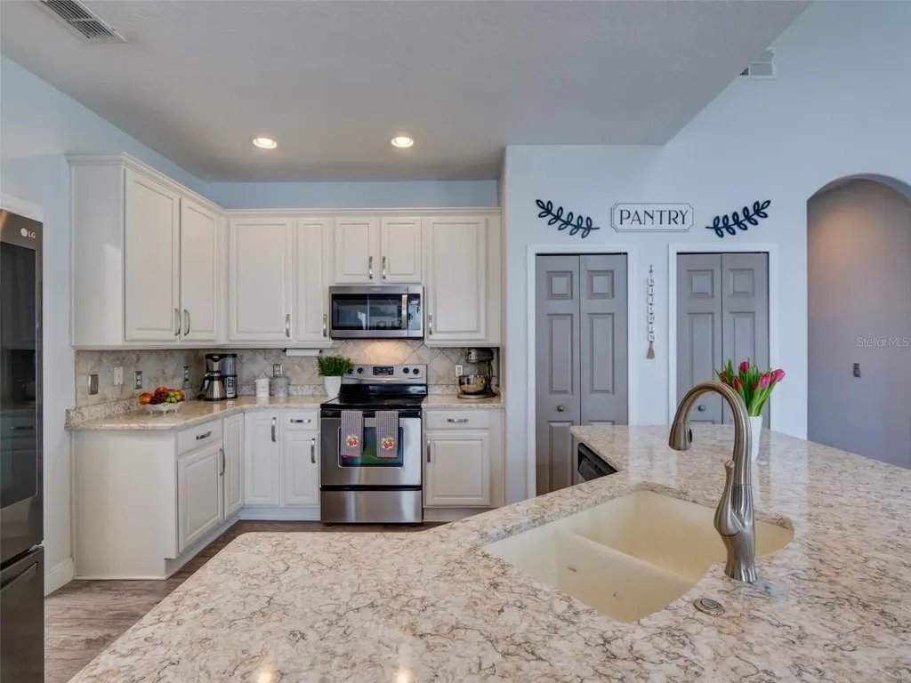 1450 Merion Drive Mount Dora FL 32757