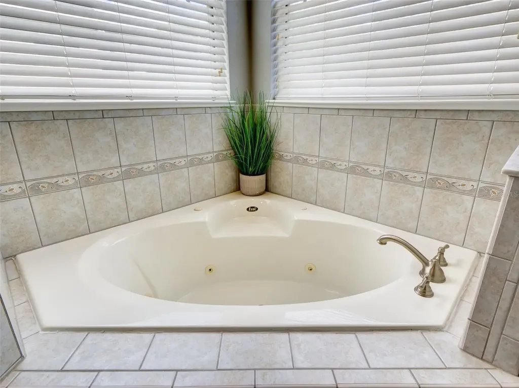 1450 Merion Drive Mount Dora FL 32757