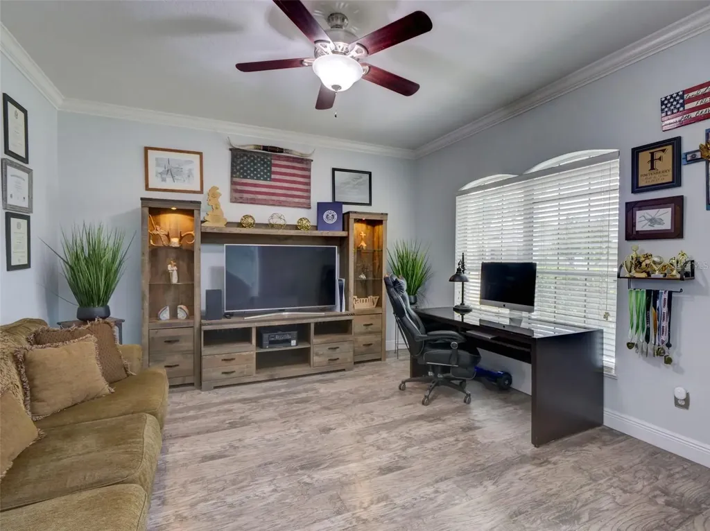 1450 Merion Drive Mount Dora FL 32757
