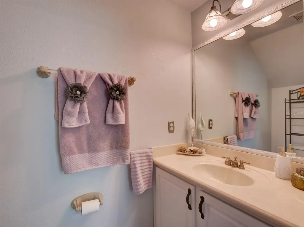 1450 Merion Drive Mount Dora FL 32757