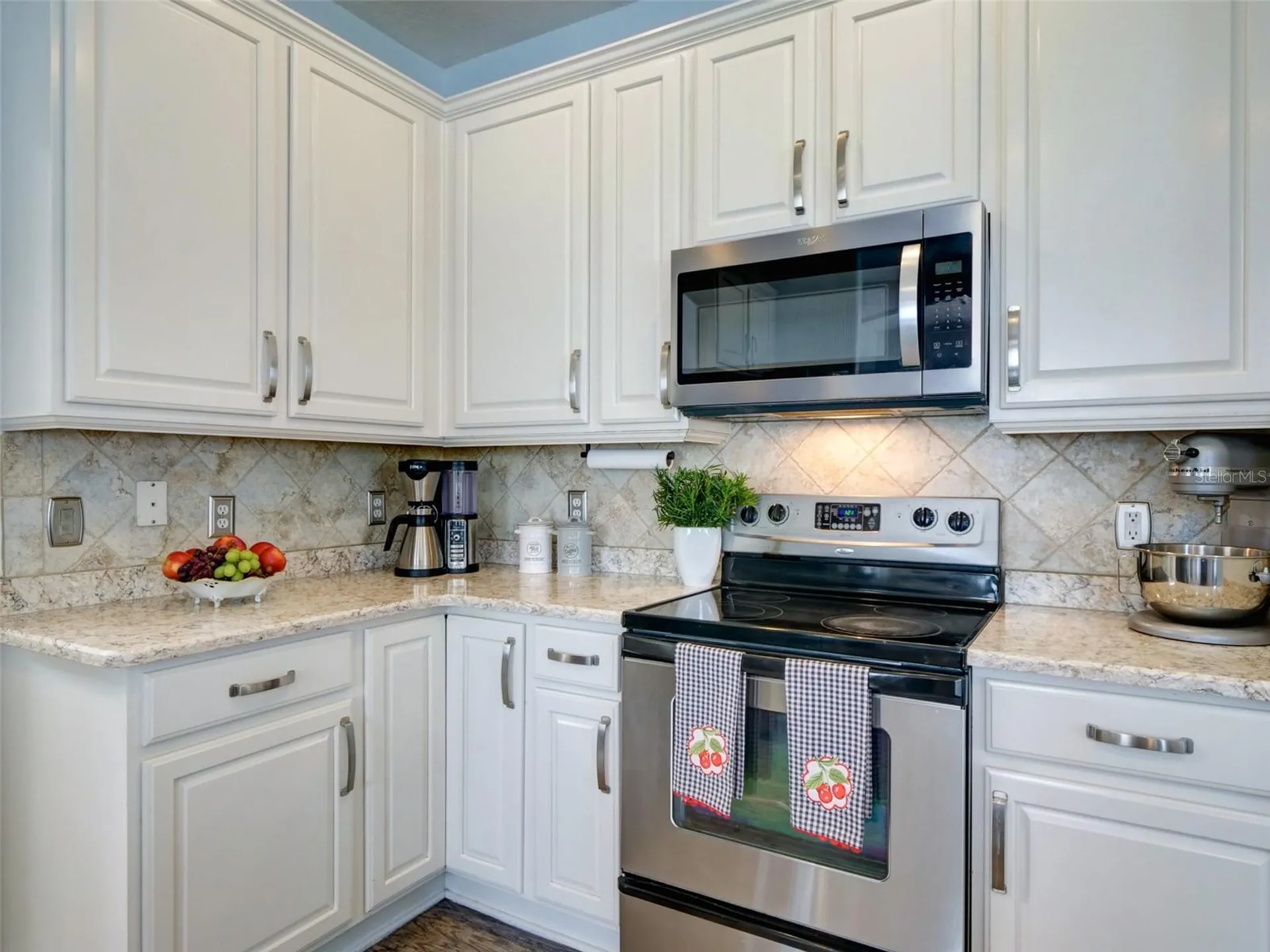 1450 Merion Drive Mount Dora FL 32757