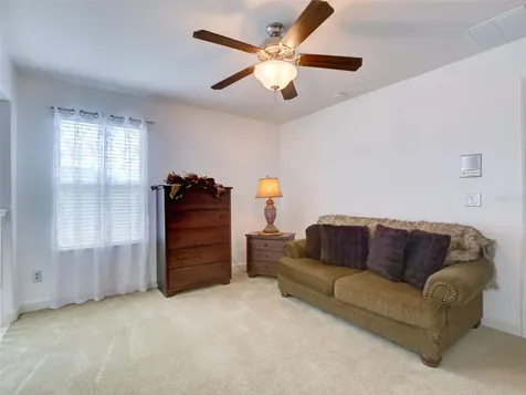 1450 Merion Drive Mount Dora FL 32757