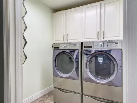 1450 Merion Drive Mount Dora FL 32757